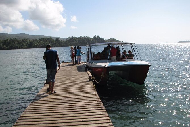 Samaná Whale Watching Excursion and Cayo Levantado Adventure From Punta Cana