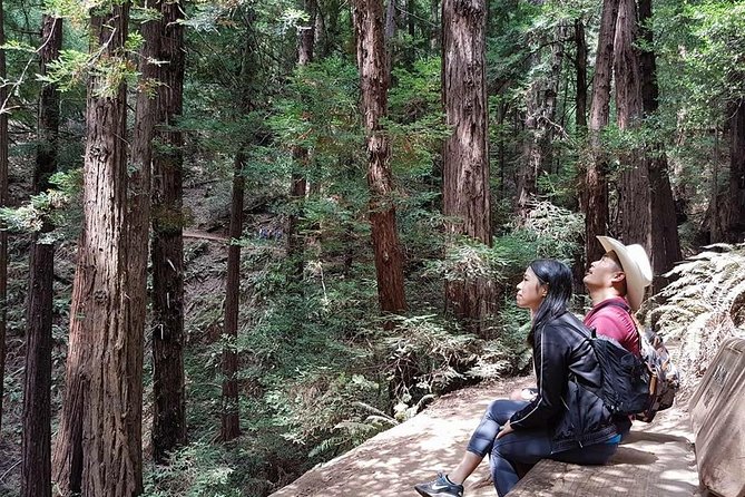 San Francisco: Guided Tour of Coastal Redwoods & Wine Country | Travel ...