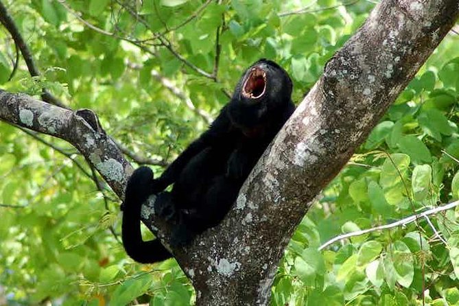 San Jose, Manuel Antonio National Park Private Sightseeing Tours