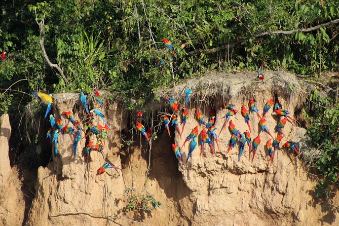 Sandoval Lake + Chuncho Macaw Collpa – 5 Days / 4 Nights