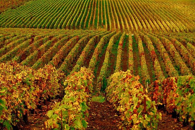 Santa Ynez Valley Cupcake & Wine Tour (All-Inclusive & Full-Day) - Tour Overview