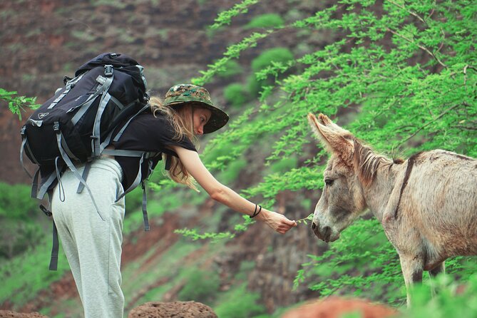 Santiago Island: 4-Hour Calabaceira Valley Hike & Guided Tour to Cidade Velha