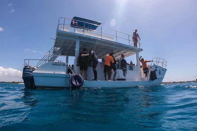 Saona Island Exclusive: Explore Paradise With Jhoraji