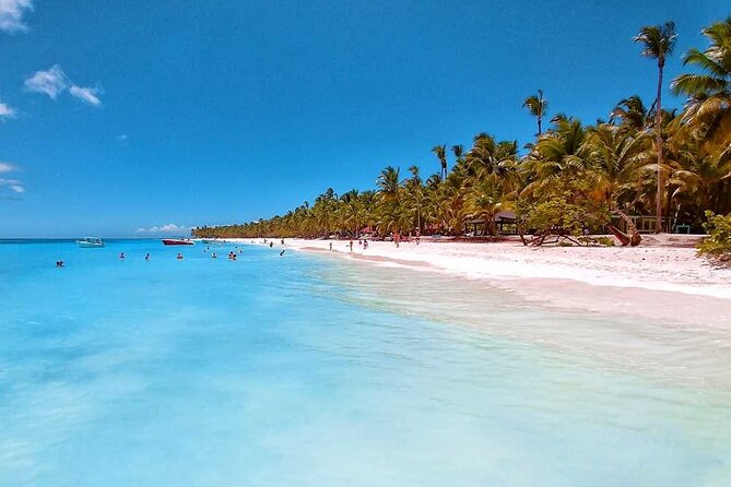 Saona Island Full-Day Tour From Santo Domingo