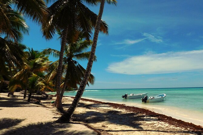 Saona Island Full-Day Tour From Santo Domingo