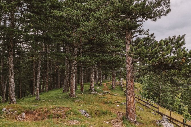 Sarajevo City Tour: Urban Hike off the Beaten Path