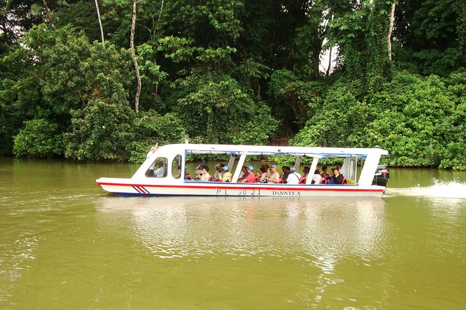 Sarapiqui River Cruise & Rainforest Walk. Private Tour - Tour Overview