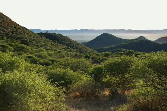 Scenic Game Drive Activity