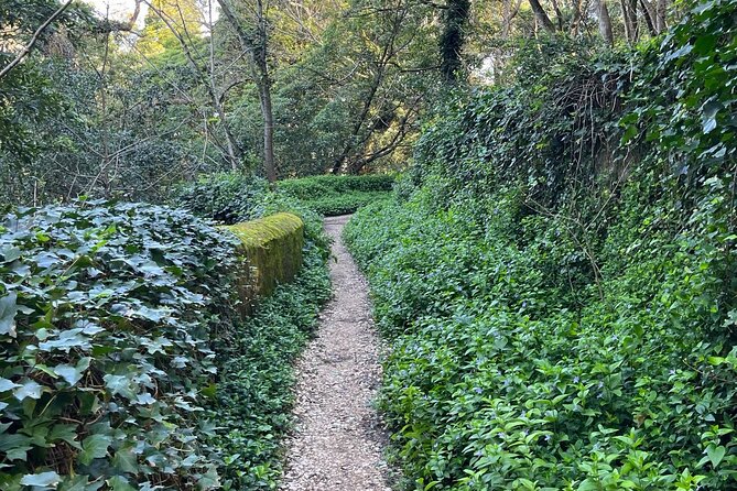 Scenic Hiking Tour in Sintra