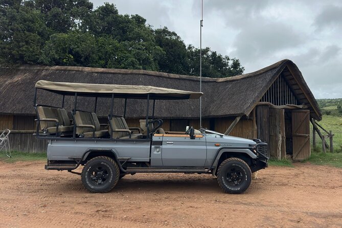 Schotia Game Reserve Tour With Port Pickup, Next to Addo Park