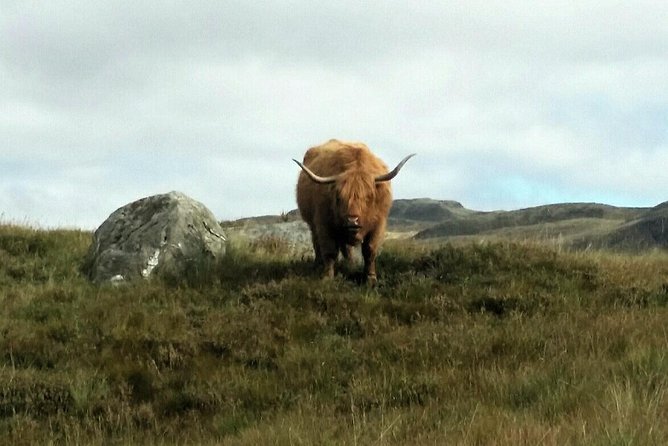 Scottish Highland Bike Tour by Manual or E-bike - Tour Overview and Details