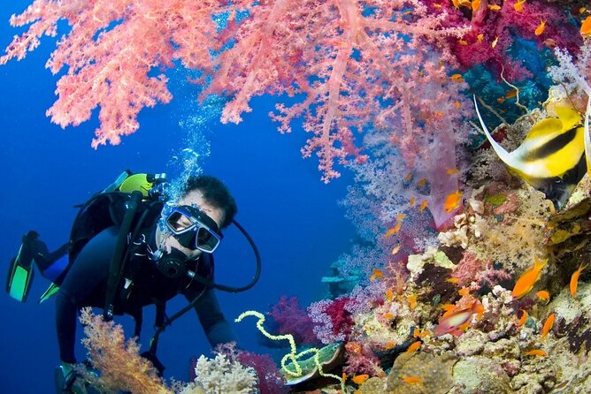 Scuba Beginner Diving and Snorkeling With Lunch From Hurghada