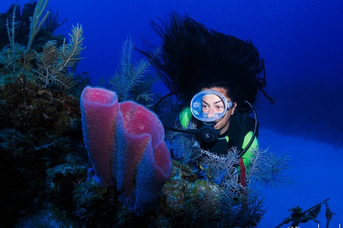 SCUBA Diving Adventure in Mahahual, SCUBA Gear Included