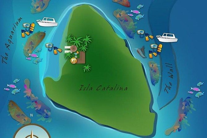 Scuba Diving at Catalina Island – All Inclusive – Full Day Tour