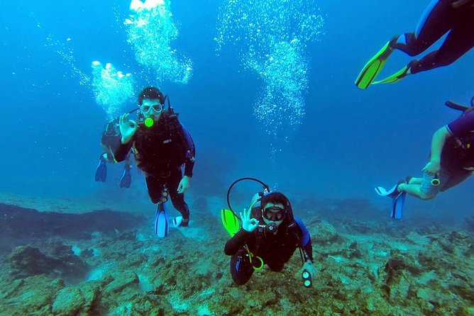 Scuba Diving From Bodrum