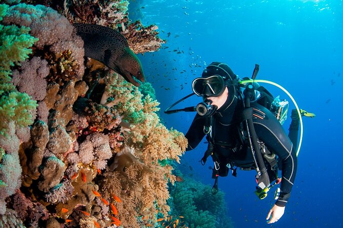 Scuba Diving in Fujairah With Private Transfers