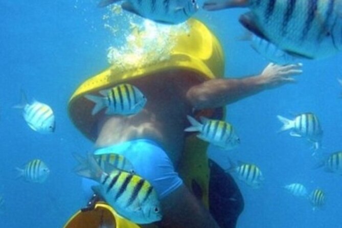 Scuba Doo: Underwater Scooter in Punta Cana (Half-Day Tour)