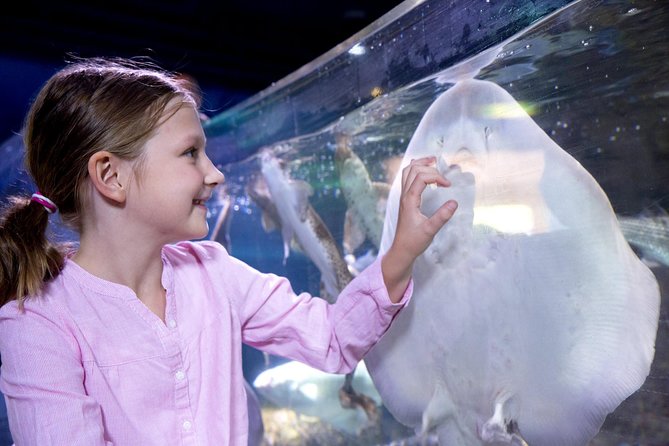 SEA LIFE San Antonio Admission Ticket