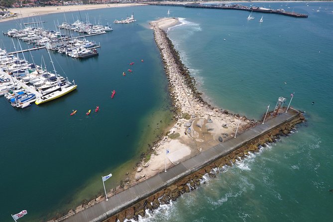 Sea Lion Kayak Tour – Santa Barbara Harbor