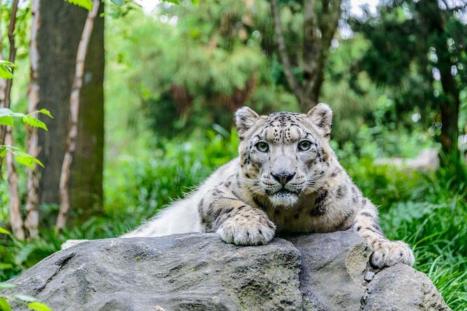See 30 Top New York Sights (Walking Tour) & Visit Central Park Zoo. - Tour Overview