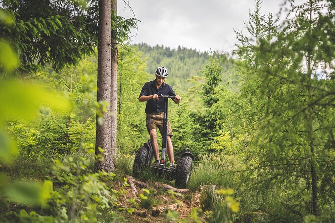 Segway Experience Tour - Overview of the Tour