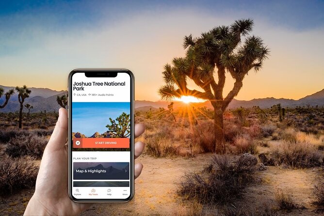 Self-Guided Driving Audio Tour in Joshua Tree National Park