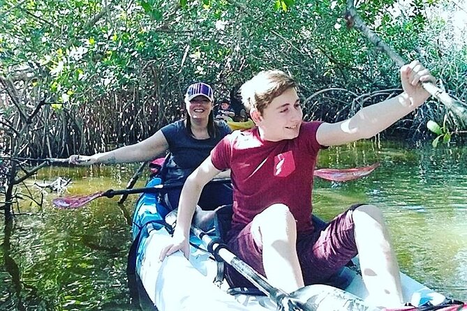 Self-Guided Kayaking Manatee and Dolphin Tour - Tour Highlights