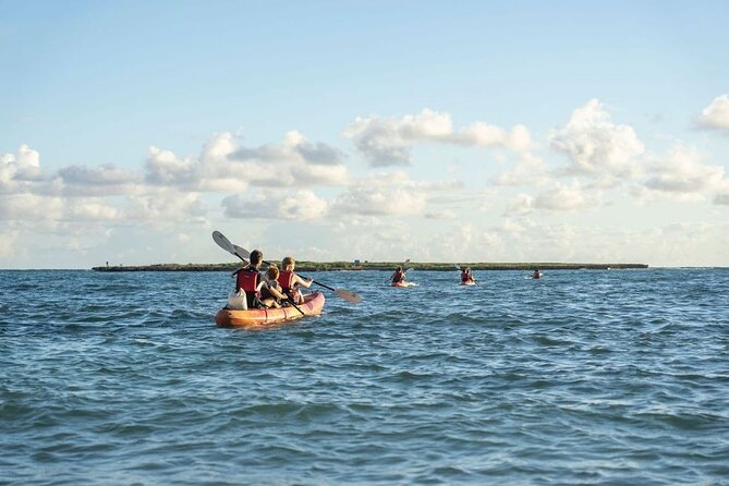 Self-Guided Kayaking Tour in Kailua Bay Review