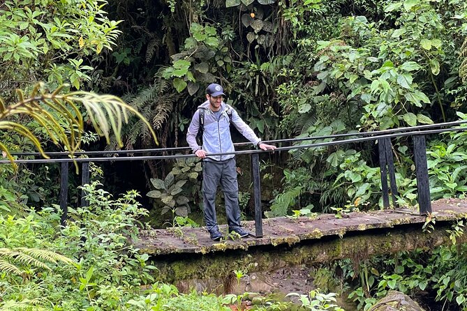 Self-Guided Walk in the Iral Cloud Forest Trails - Meeting and Pickup Information