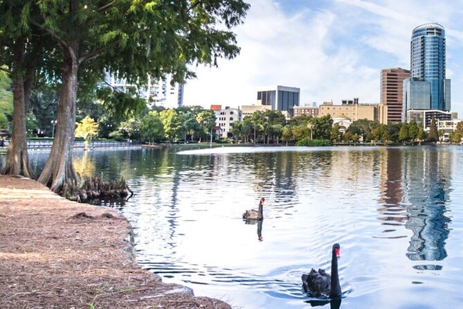 Self-Guided Walking Audio Tour Around Lake Eola in Orlando - Overview of the Lake Eola Tour