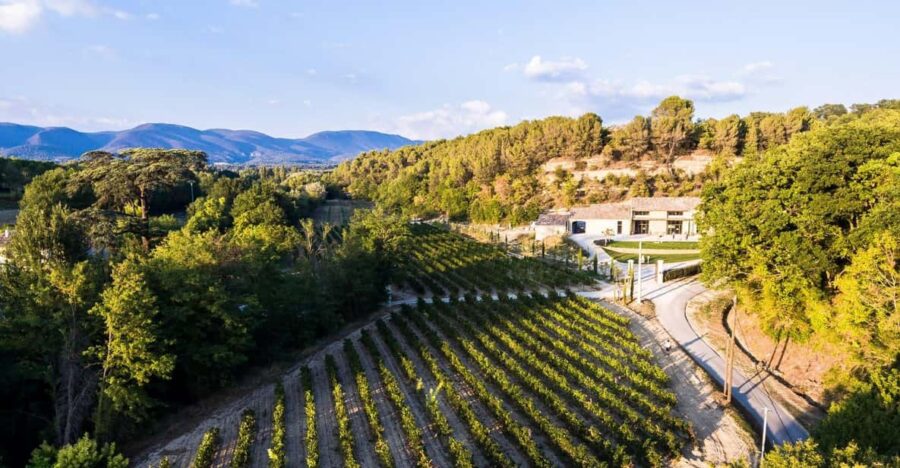 Self Tour of the Olive Oil Mill & Olive Oil Tasting