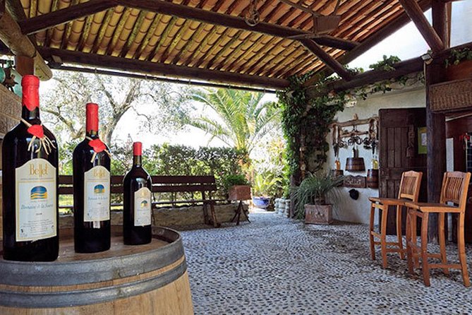 Semi Private Organic Wine & Food Tasting Tour (From Nice)