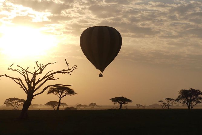 Serengeti Day Trip Tour From Mwanza