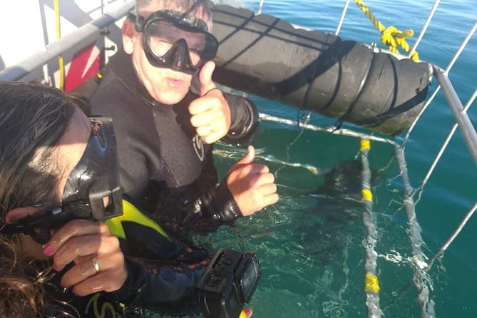 Shark Cage Diving - What to Expect Underwater
