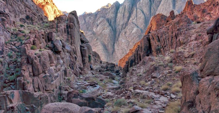 Sharm El Sheikh: Mount Sinai & St. Catherine Monastery Tour