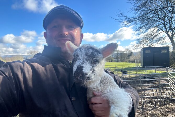 Sheepdogs in the Countryside, Authentic Dubliners City Tour Combo