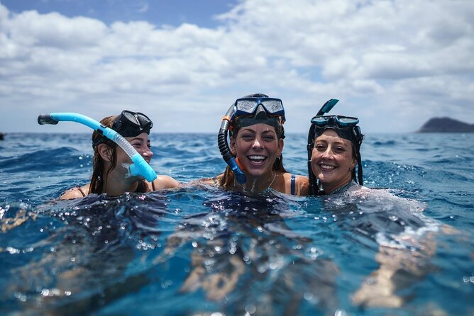 2 Best Shore Excursions In Cabarete