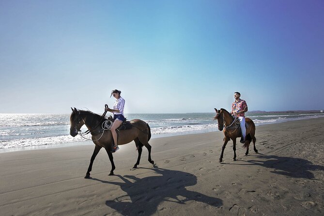 Shore Mangrove Tour + Lunch + Horse Riding + Fishing Classes - Inclusions and Highlights
