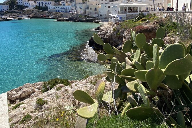 Shuttle Tour of Favignana and Levanzo From Trapani