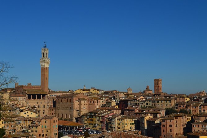 Siena Family Tour