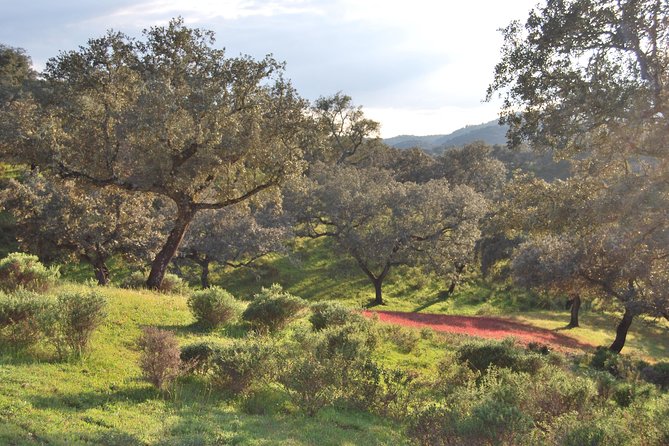 Sierra De Aracena: Grotto of Wonders, Hiking and Ecological Picnic. - Discovering the Grotto of Wonders