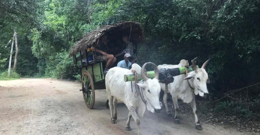 Sigiriya Day Tour (Include Village Tour and Lunch) - Tour Overview and Pricing