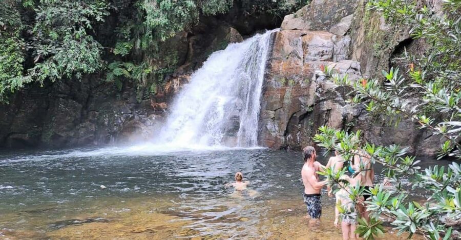 Sinharaja Rainforest Tour