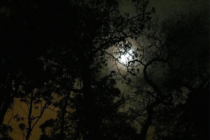 Sintra, Apparitions and Stories From the Mountains - Private Night Walk - Mysterious Sintras Legends and Folklore