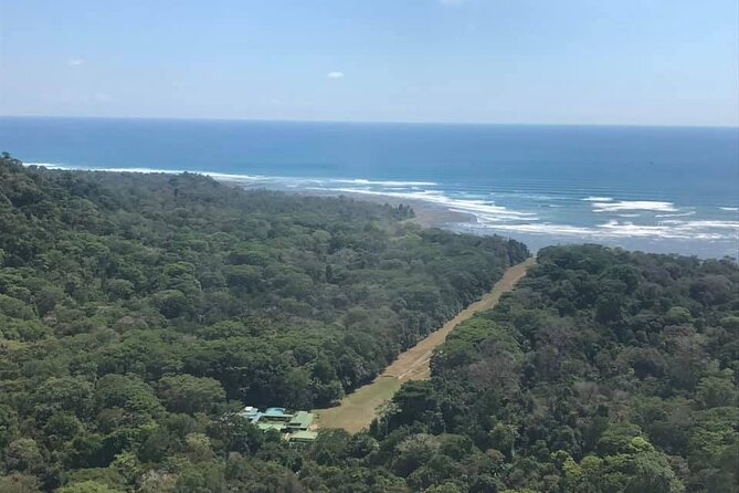 Sirena,Corcovado - 2 Nights From Puerto Jimenez - Overview of the Tour