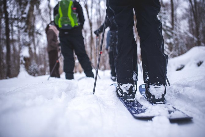 Skiing (Hok Ski) Excursion in Jacques-Cartier National Park - Highlights of the Experience