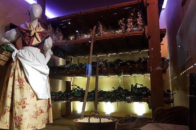 Skip the Line: Valencia Silk Museum Ticket Entrance - Ticket and Pricing Information