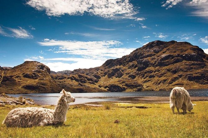 Slow Travel Through Cotopaxi, Quilotoa, Banos and Amazon Rainforest