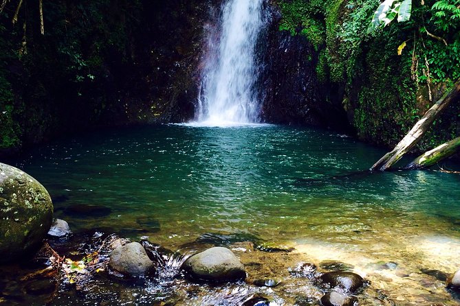 Small-Group Adventure Trek in Grand Etang National Park