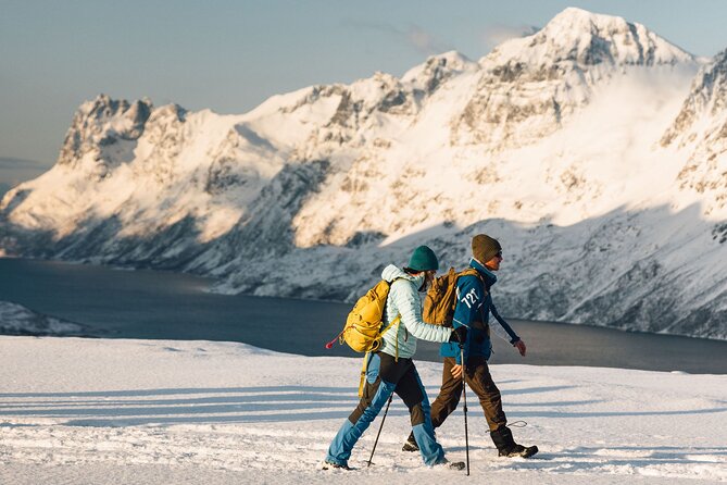 Small Group Citizen Science Hike in Tromso
